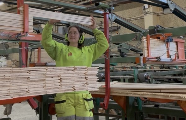 En dame med gule arbeidsklær sorterer trelast som ligger på ei hylle inne på et lager.