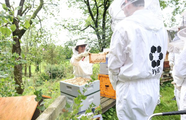 To personer i birøkteklær står med en bikube mellom seg. Det er grønt og frodig rundt dem. De har på seg netting rundt hodet og hvite dresser.