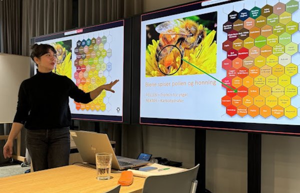 Dame i svart genser og oppsatt, svart hår står foran to store tv-skjermer og holder en presentasjon om honning