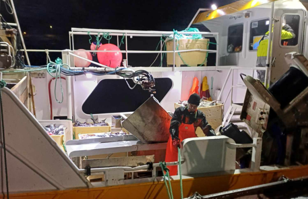 En mann i oljehyre og gummihansker står ute på en fiskerbåt og holder et tau