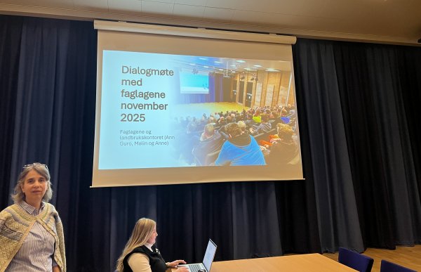 En dame i blå skjorte og ulljakke står nede til venstre for en presentasjon. Det sitter også en dame og ser på en laptop under presentasjonen.