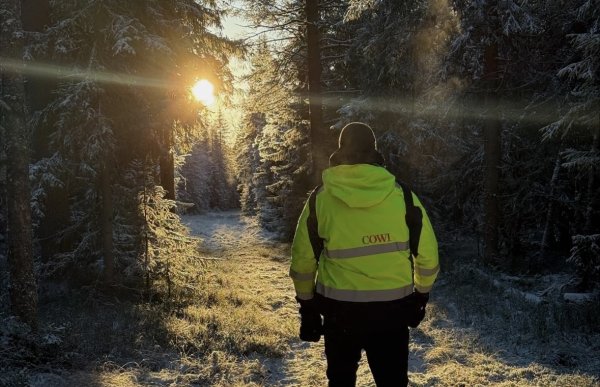 En person i gul arbeidsjakke og lue går ute i skogsområder med litt frost på bakken
