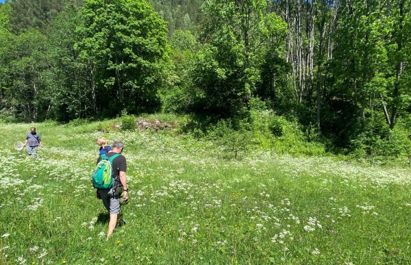 En gruppe mennesker går gjennom en frodig eng full av hvite og gule markblomster. Rundt dem står tett grønn skog, og en skogkledd ås ruver i bakgrunnen under en klar blå himmel.