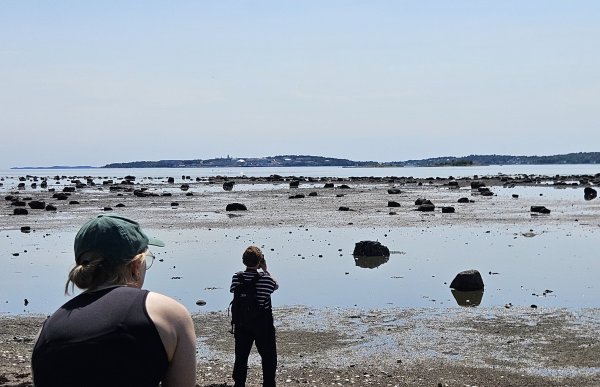 To personer står i fjæra ved lavvann og ser utover et grunt kystlandskap. Store steiner ligger spredt i sjøen, og i det fjerne skimtes en øy eller et tettsted langs horisonten.