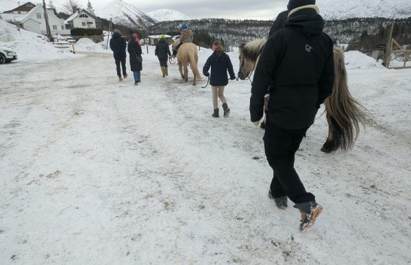 En gruppe mennesker er på ridetur på vinteren langs en vei. Noen går langs hestene mens noen sitter på hesteryggen. 