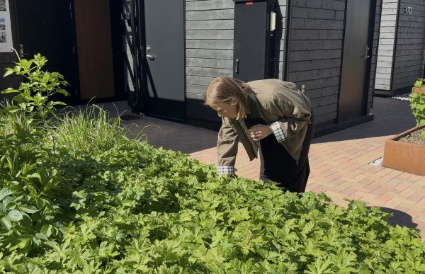 En kvinne med mørke klær og en grønn jakke bøyer seg over et grønt plantebed utenfor moderne bygninger med mørk trekledning. Hun undersøker plantene nøye. Det er solskinn, og rundt henne er det belegningsstein, plantekasser og frodig vegetasjon.