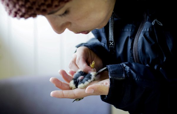 Nærbilde av dame med lue som holder en bitteliten fugl i hånda