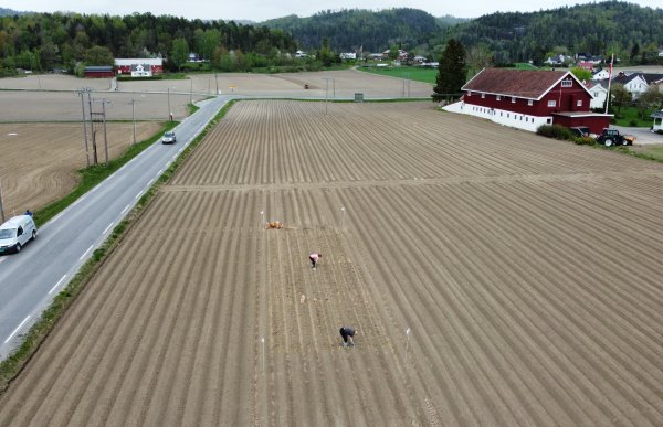Oversiktsbilde av en åker hvor de jobber med å sette ut poteter. Markører er plassert i fire hjørner på jordet. Det er en asfaltert vei som går på venstre side av jorde, og en gård på høyre side.