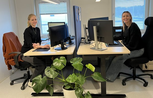 To damer med svart genser sitter foran hver sin kontorpult med to pc-skjermer hver. Pultene er satt mot hverandre. Det er to vinduer på kontoret. En stor grønn plante står foran pultene. 