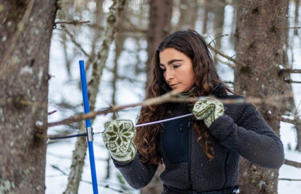 En dame med mørkt hår, svart fleecejakke og votter står ute i et snødekt skogsområde og bruker et verktøy mot stammen på et tre. Personen har på seg vinterklær og holder et blått redskap og en metallstang mens arbeidet utføres.