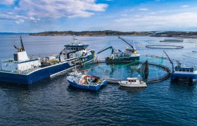 Oppdrettsanlegg med servicebåter rundt