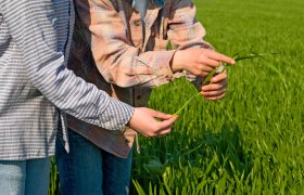 Jordbrukssjef gir råd om avling