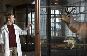 Museumsformidler forteller om utstilling