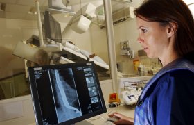 Illustrasjonsbilde av en spesialist i fordøyelsessykdommer som studerer et røntgenfoto av mageregionen.