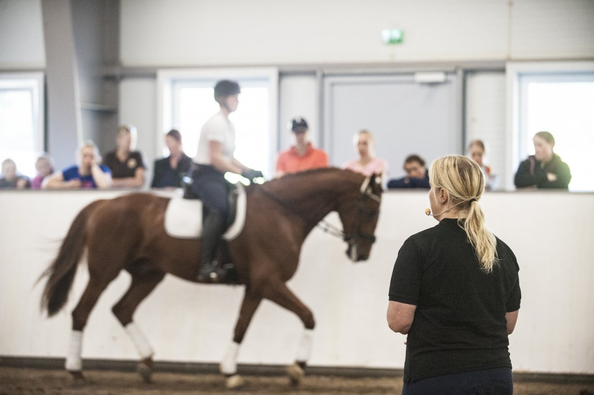 Ridelærer underviser.