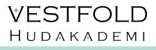 Vestfold Hudakademi