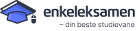 EnkelEksamen Logo enkeleksamen logo
