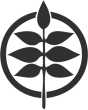 d62c94dcd39b215fbe0e0663d82f72e7.png